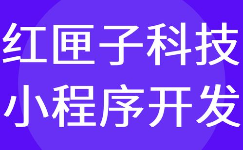 广州小程序开发有哪些公司 前十名 哪家好 红匣子科技